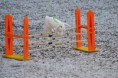 /album/fotogalleri/dsc-0187-jpg/