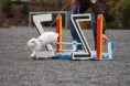 /album/fotogalleri/img-0323-jpg/