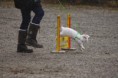 /album/fotogalleri/img-1230-jpg/